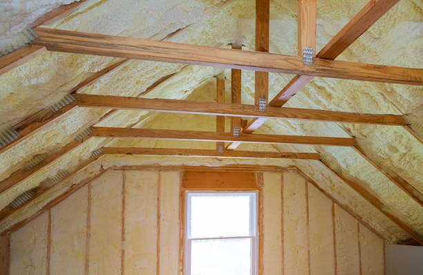 Insulation Inspection Services in Edisto, SC