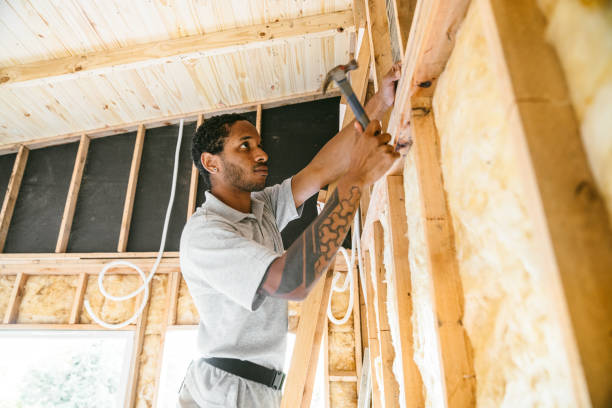 Best Fiberglass Insulation  in Edisto, SC