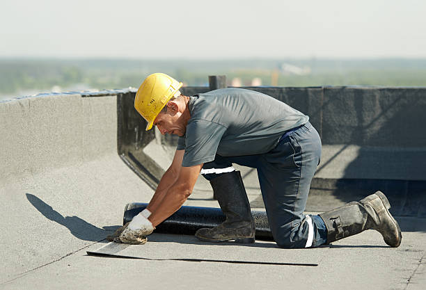 Best Spray Foam Insulation  in Edisto, SC