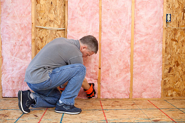 Insulation Repair Services in Edisto, SC