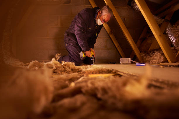 Best Residential Insulation Services  in Edisto, SC